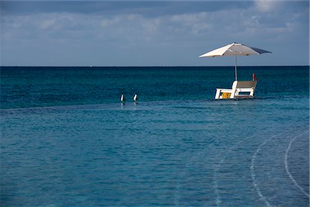 strandschirm - Beach Chair von Infinity-Pool, Grand Bahama Island (Bahamas) Stockbilder - Lizenzpflichtiges, Bildnummer: 700-02887339