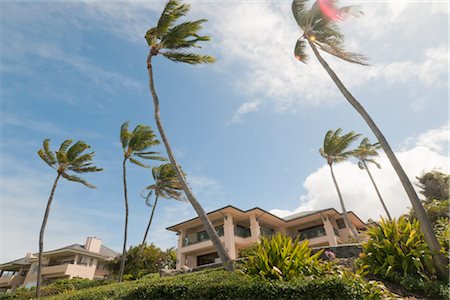 pacific palm trees - Beach Homes, Kauai, Hawaii, USA Stock Photo - Rights-Managed, Code: 700-02912165