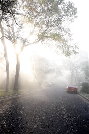sunset tree with car - Morning Fog Over Neighbourhood Stock Photo - Rights-Managed, Code: 700-02922837
