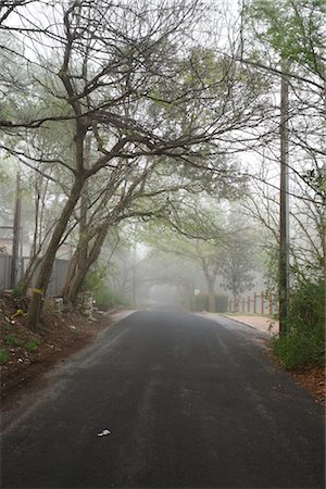 Tree-lined Street in the Morning Stock Photo - Rights-Managed, Code: 700-02922842