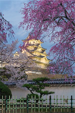 pagode - Cherry Tree, le château de Himeji, Himeji, Japon Photographie de stock - Rights-Managed, Code: 700-02935608