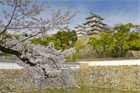 Cherry Tree, le château de Himeji, Himeji, Japon Photographie de stock - Rights-Managed, Code: 700-02935610