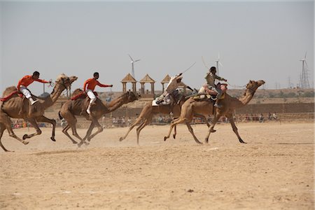 simsearch:851-02960457,k - Camel Festival, Jaisalmer, Rajasthan, India Foto de stock - Con derechos protegidos, Código: 700-02957995