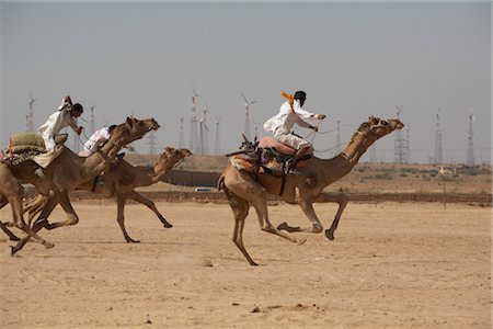 schau - Kamel-Festival, Jaisalmer, Rajasthan, Indien Stockbilder - Lizenzpflichtiges, Bildnummer: 700-02957997