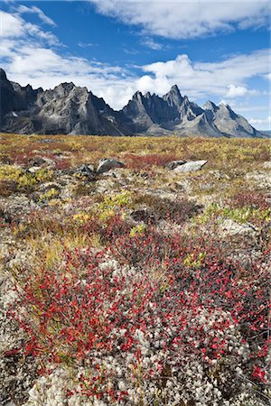 Prés et monts Tombstone, Parc Territorial de Tombstone, Yukon, Canada Photographie de stock - Rights-Managed, Code: 700-02967559