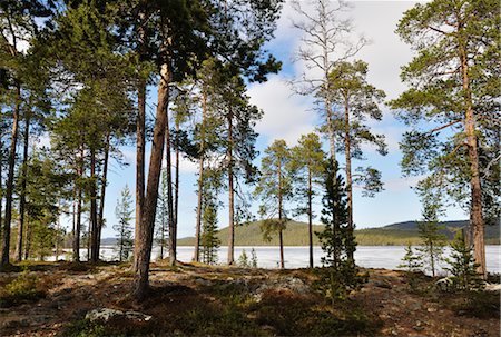 Lake Inari, Lapland, Finland Foto de stock - Direito Controlado, Número: 700-02967662