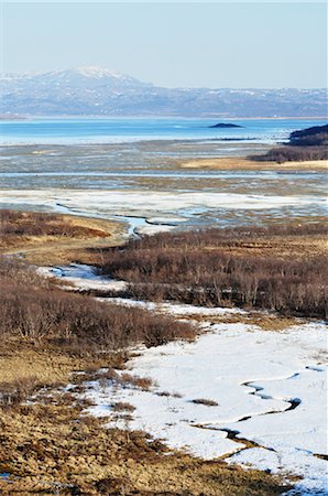 pantano - Stabbursnes Nature Reserve, Lapland, Norway Foto de stock - Con derechos protegidos, Código: 700-02967686