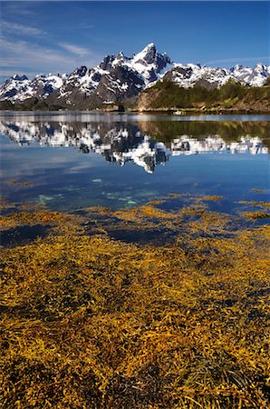 simsearch:879-09191359,k - Scenic View, Raftsund, Lofoten, Norway Foto de stock - Direito Controlado, Número: 700-02967708