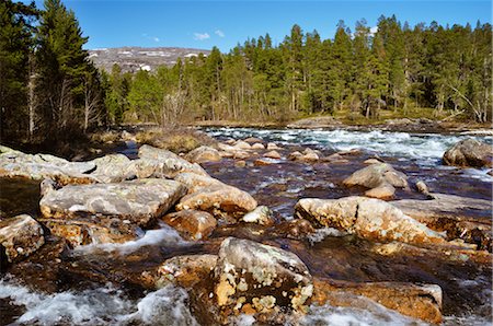 river, rapids - Saltelva River, Norway Stock Photo - Rights-Managed, Code: 700-02967725