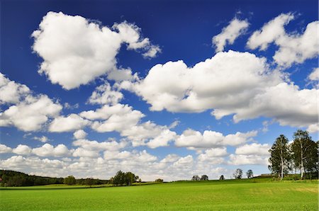 Field and Farmland, Tiveden, Northern Vättern, Sweden Stock Photo - Rights-Managed, Code: 700-02967785