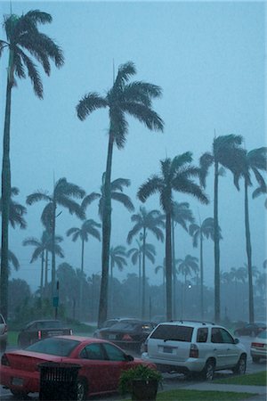 severo - Downpour in West Palm Beach, Florida, USA Foto de stock - Direito Controlado, Número: 700-02972797