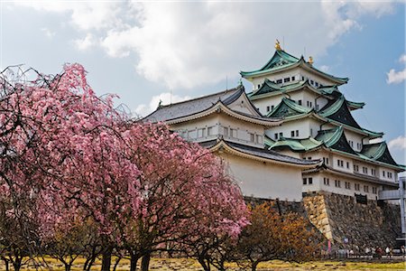 simsearch:400-05915367,k - Nagoya Castle, Nagoya, Aichi Prefecture, Chubu, Japan Fotografie stock - Rights-Managed, Codice: 700-02973218