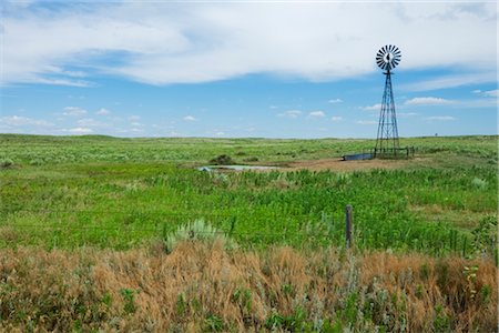 stati delle pianure - Windmill, Jaqua Township, Kansas, USA Fotografie stock - Rights-Managed, Codice: 700-03005169