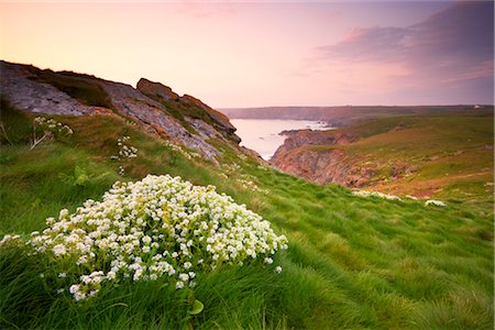 Lizard Point, péninsule de Lizard, Cornwall, Angleterre, Royaume-Uni Photographie de stock - Rights-Managed, Code: 700-03016981