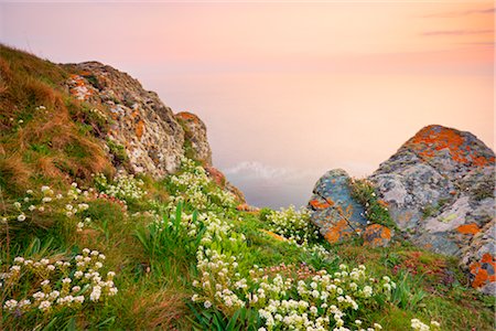 Lizard Point, péninsule de Lizard, Cornwall, Angleterre, Royaume-Uni Photographie de stock - Rights-Managed, Code: 700-03016982
