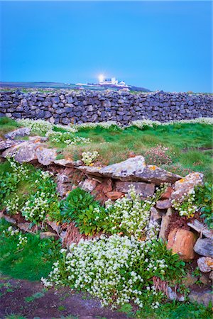 Stone Wall, Lizard Point, Lizard Peninsula, Cornwall, England, United Kingdom Stock Photo - Rights-Managed, Code: 700-03016983