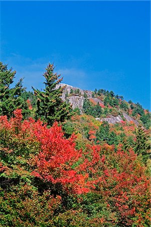 Grandfather Mountain in Herbst, North Carolina, USA Stockbilder - Lizenzpflichtiges, Bildnummer: 700-03017600