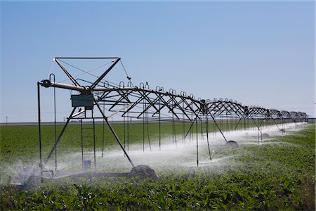 Système d'irrigation dans un champ de maïs, Colorado, Etats-Unis Photographie de stock - Rights-Managed, Code: 700-03017659
