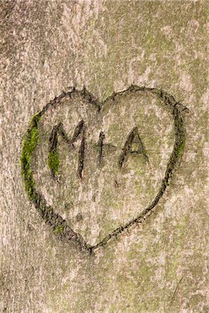 simbolo dell'addizione - Initials and Heart in Tree Trunk Fotografie stock - Rights-Managed, Codice: 700-03067919