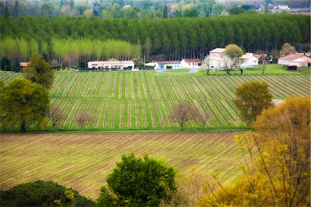 france rural vineyard - Vineyard, Dordogne, Aquitaine, France Stock Photo - Rights-Managed, Code: 700-03068173