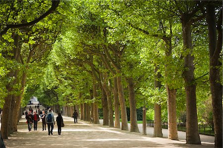 simsearch:700-03068908,k - Jardin des Plantes, Paris, Ile de France, France Foto de stock - Con derechos protegidos, Código: 700-03068899