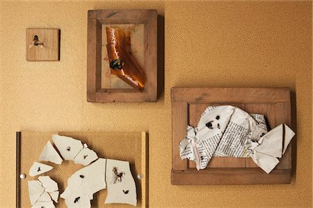 Insectes morts montés sur des Plaques Photographie de stock - Rights-Managed, Code: 700-03075944