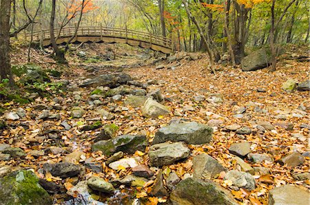 simsearch:700-03084024,k - Mt Seonun, Seonunsan Provincial Park, Jeollabuk-do, South Korea Stock Photo - Rights-Managed, Code: 700-03084023