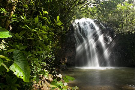 pictures beautiful places australia - Waterfall, Queensland, Australia Stock Photo - Rights-Managed, Code: 700-03083938