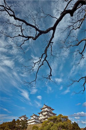 daryl benson - Château de Himeji au printemps, Himeji, Japon Photographie de stock - Rights-Managed, Code: 700-03152254