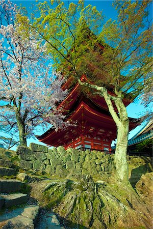 simsearch:700-02973219,k - Five Story Pagoda and Cherry Blossoms, Miyajima Island, Japan Foto de stock - Con derechos protegidos, Código: 700-03152259