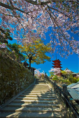 Five Story Pagoda and Cherry Blossoms, Miyajima Island, Japan Stock Photo - Rights-Managed, Code: 700-03152260