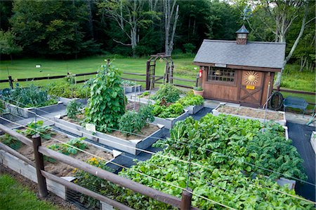 Organic Raised Bed Garden Stock Photo - Rights-Managed, Code: 700-03152618