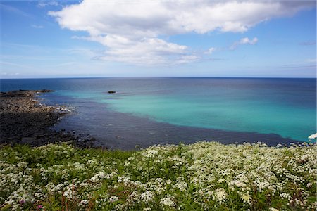 saint ives - St Ives, Cornwall, England, Vereinigtes Königreich Stockbilder - Lizenzpflichtiges, Bildnummer: 700-03161640