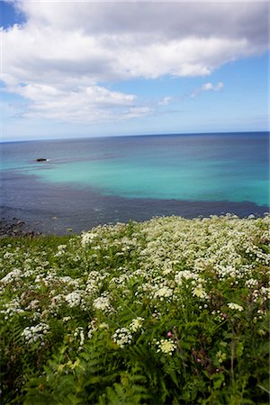 saint ives - St Ives, Cornwall, England, Vereinigtes Königreich Stockbilder - Lizenzpflichtiges, Bildnummer: 700-03161641