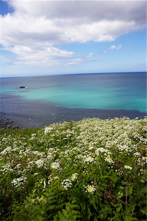 saint ives - St Ives, Cornwall, England, United Kingdom Stock Photo - Rights-Managed, Code: 700-03161641