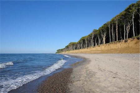 Beach, Nienhagen, Bad Doberan, Western Pomerania, Mecklenburg-Vorpommern, Germany Stock Photo - Rights-Managed, Code: 700-03210318