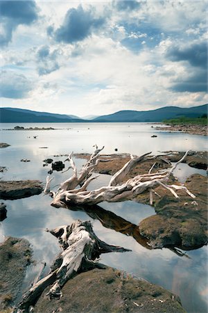 dumfries and galloway - Clatteringshaws Loch, Galloway Forest Park, Dumfries and Galloway, Scotland, United Kingdom Foto de stock - Direito Controlado, Número: 700-03210330