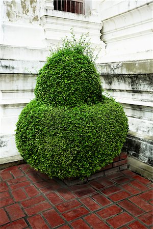 Topiary, Phra Narai Ratchaniwet Palace, Lopburi, Lopburi Province, Thailand Foto de stock - Con derechos protegidos, Código: 700-03228635