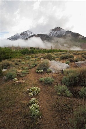 Basin Mountain, Inyo National Forest, Bishop, Inyo County, California, USA Foto de stock - Con derechos protegidos, Código: 700-03228658