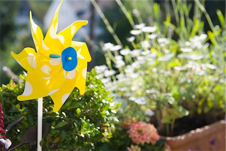 flower plant in balcony - Pinwheel in Garden Stock Photo - Rights-Managed, Code: 700-03229375