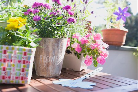 flower plant in balcony - Potted Plants on Table Stock Photo - Rights-Managed, Code: 700-03229380