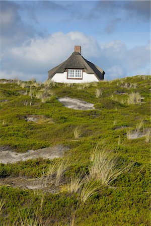 reeds - Rantum, Sylt, North Frisian Islands, Nordfriesland, Schleswig-Holstein, Germany Foto de stock - Con derechos protegidos, Código: 700-03229797