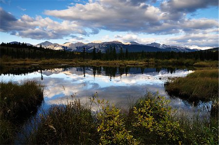 famous mountains in canada - Cottonwood Slough, Jasper National Park, Alberta, Canada Stock Photo - Rights-Managed, Code: 700-03244132