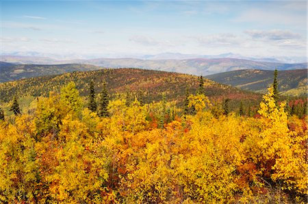 Ogilvie Mountains, Tintina Trench, Yukon Territory, Canada Foto de stock - Con derechos protegidos, Código: 700-03244208