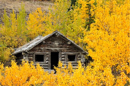 Silver City Ghost Town, Yukon Territory, Canada Foto de stock - Direito Controlado, Número: 700-03244214