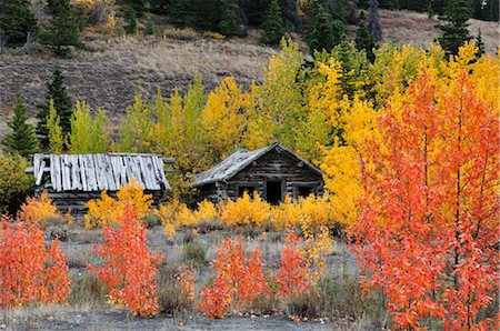 Silver City Ghost Town, Yukon Territory, Canada Stock Photo - Rights-Managed, Code: 700-03244213