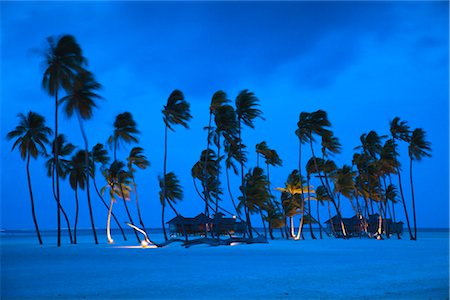 Soneva Gili Resort, Lankanfushi Island, North Male Atoll, Maldives Photographie de stock - Rights-Managed, Code: 700-03244263