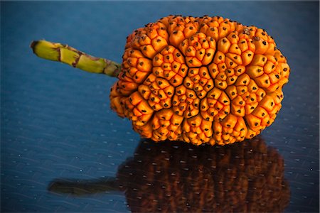 Pandanus Fruit, Banyan Tree Madivaru, Alif ALif Atoll, Maldives Stock Photo - Rights-Managed, Code: 700-03244270