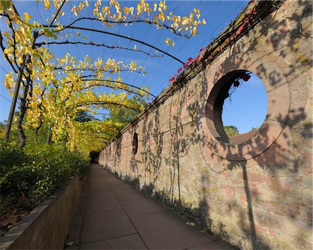 pergola and plant - Pathway from Johannisburg Castle to the Pompejanum, Aschaffenburg, Bavaria, Germany Stock Photo - Rights-Managed, Code: 700-03243981