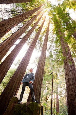 forest sky worms eye view - Woman Standing in Redwood Forest, near Santa Cruz, California, USA Stock Photo - Rights-Managed, Code: 700-03295048